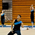 O'Fallon township guard